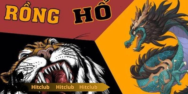 Vì sao nên chơi Rồng Hổ online
