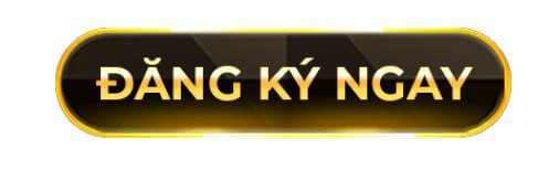 link đăng ký